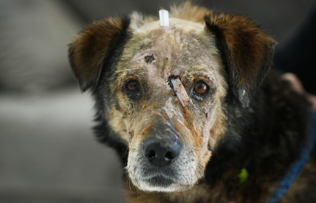 Russia Ukraine War Half A Year Photo Gallery